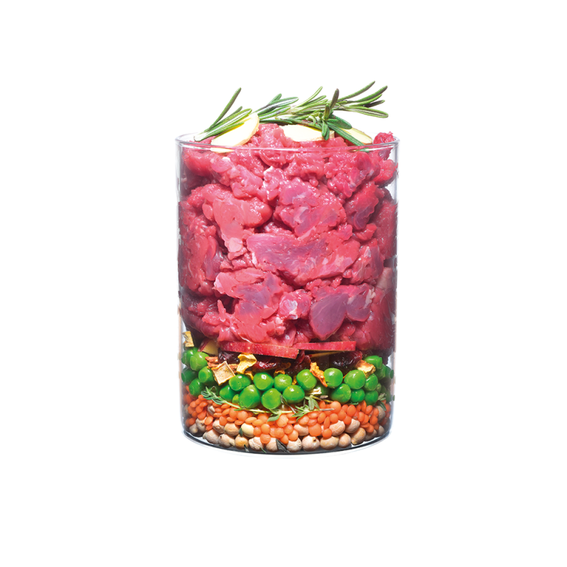 Carnilove True Fresh Beef For Adult Dogs 1.4kg1